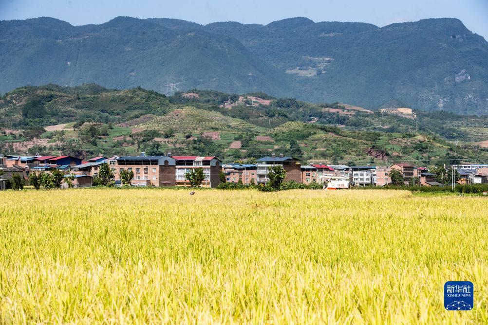 大奖网官方网站下载